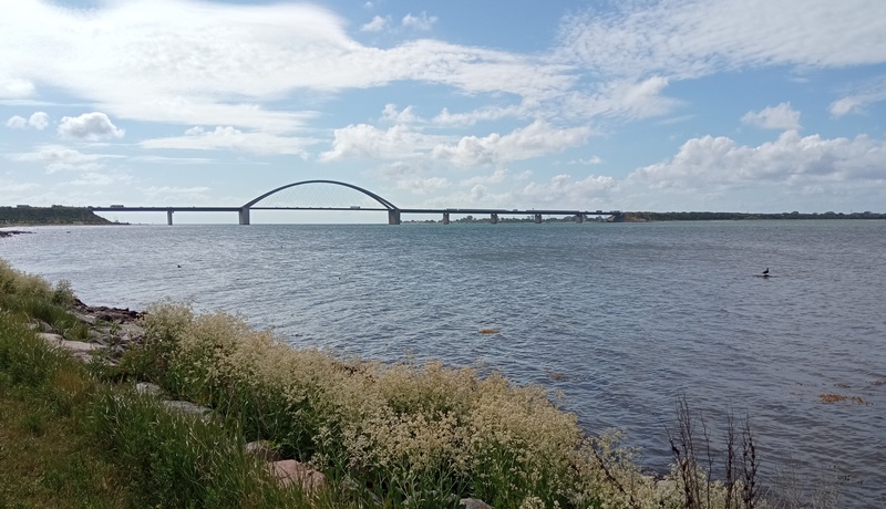 Impression Impression