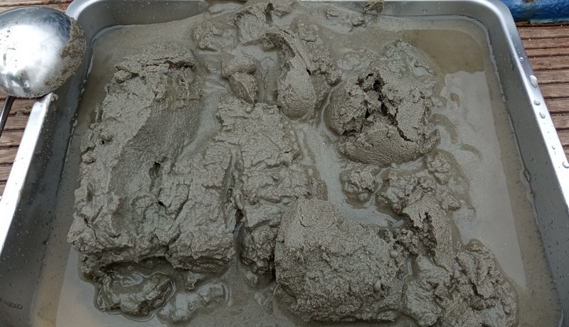 Sedimentprobe Sedimentprobe