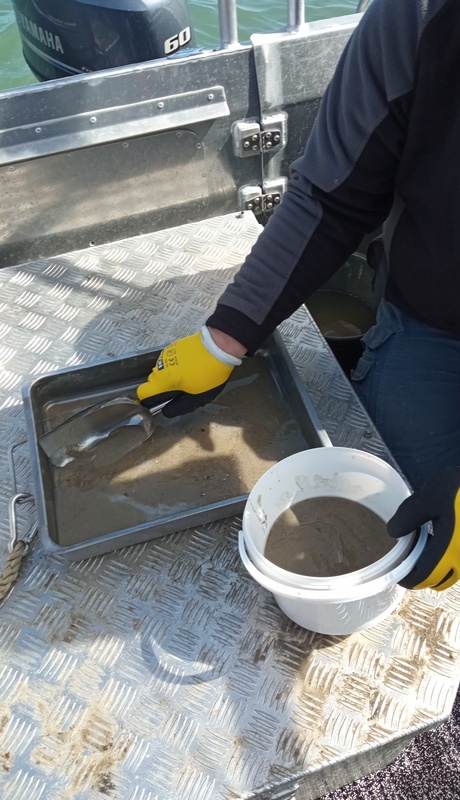 Entnahme des Beprobungsmaterials Entnahme des Beprobungsmaterials