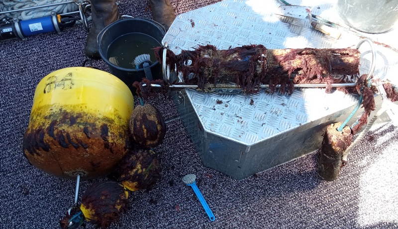 Messeinrichtung nach 2-monatiger Einsatzdauer Messeinrichtung nach 2-monatiger Einsatzdauer