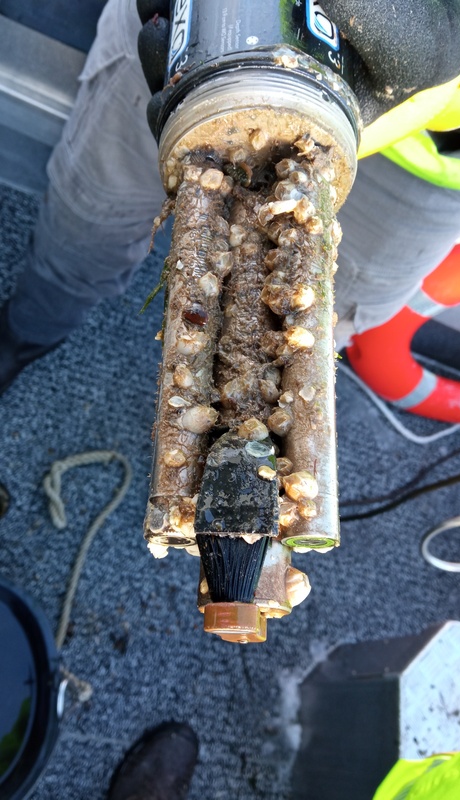 Messgerät nach 2-monatiger Einsatzdauer Messgerät nach 2-monatiger Einsatzdauer